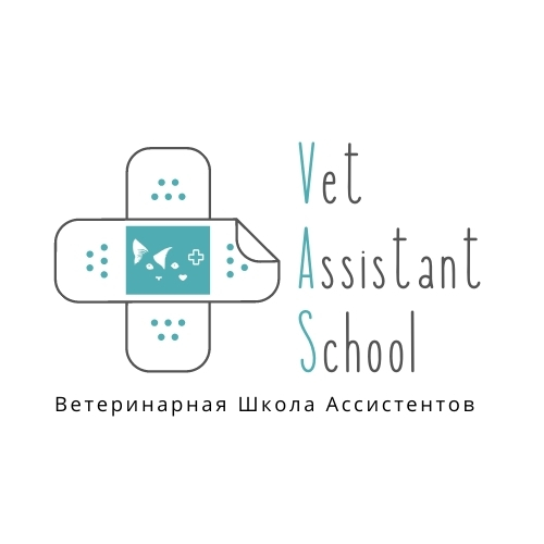 VAS logo (6).jpg